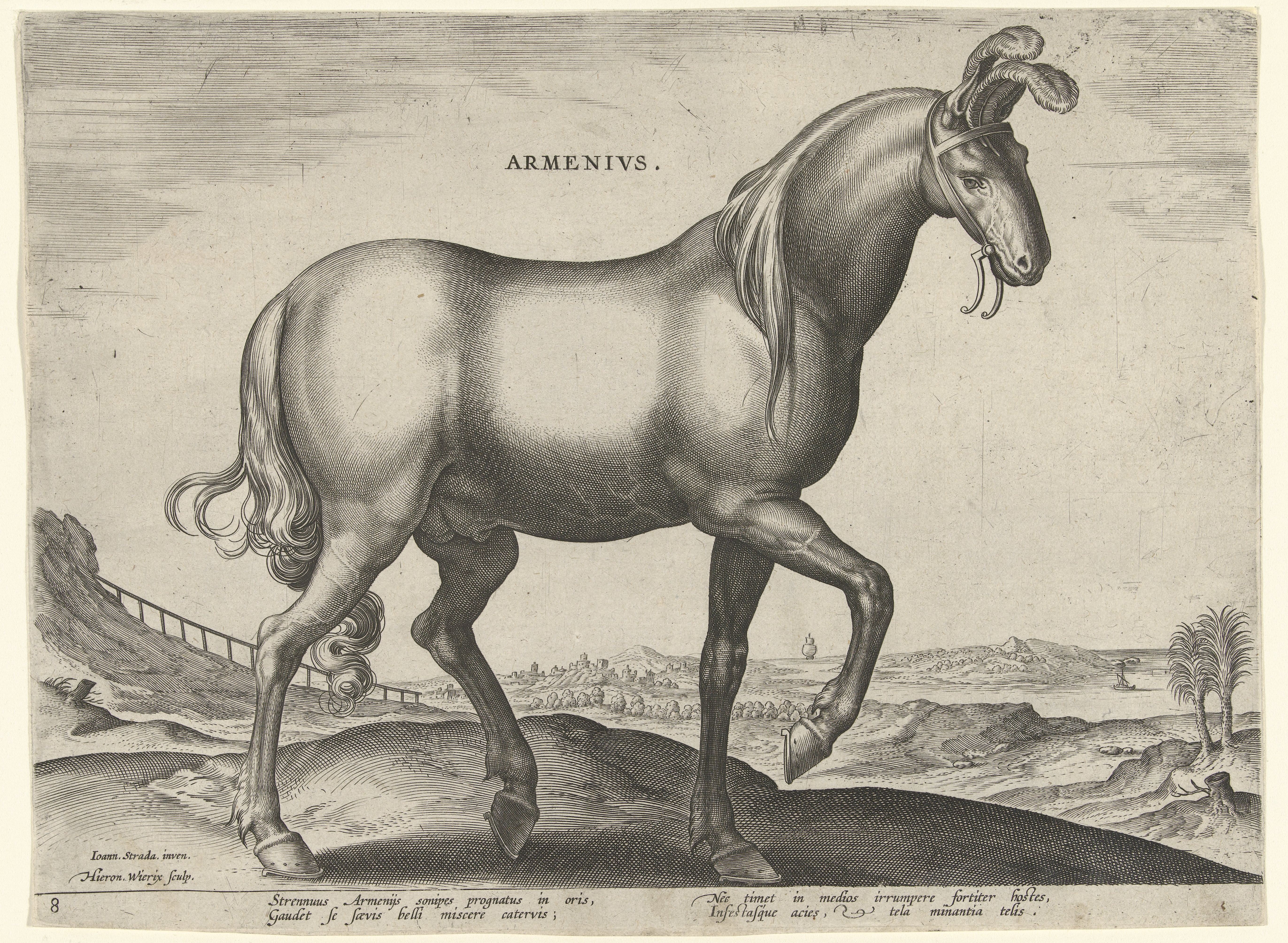 Horse from Armenia (Armenius), Hieronymus Wierix, Jan van der Straet, ca. 1583 - ca. 1587